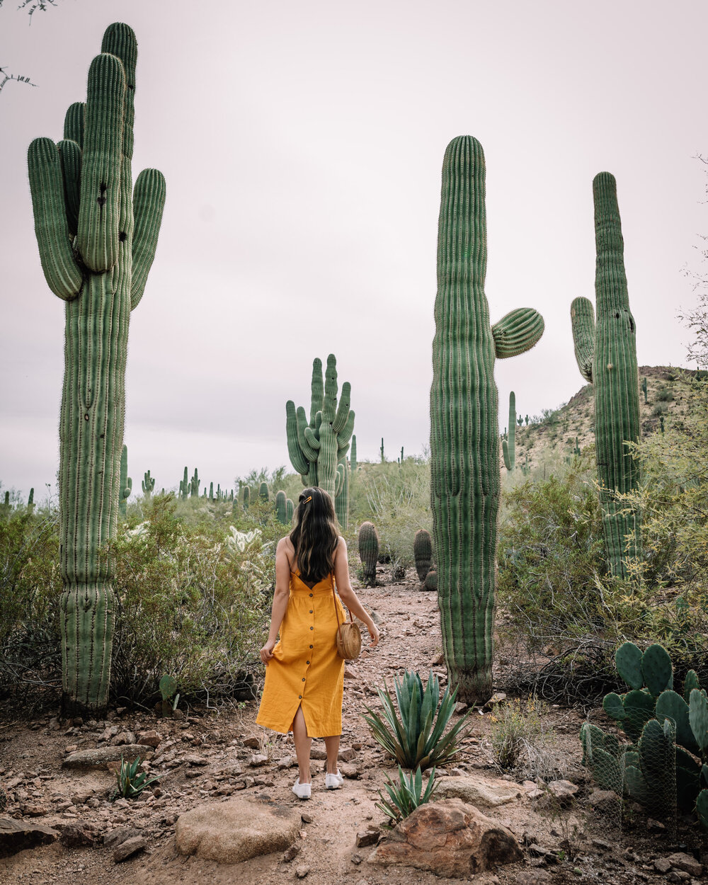 Rachel Off Duty: Woman in Front of Giant Cactus
