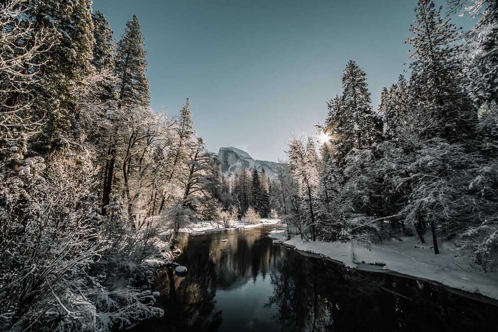 Snow Capped Trees and a River in Yosemite - Rachel Off Duty