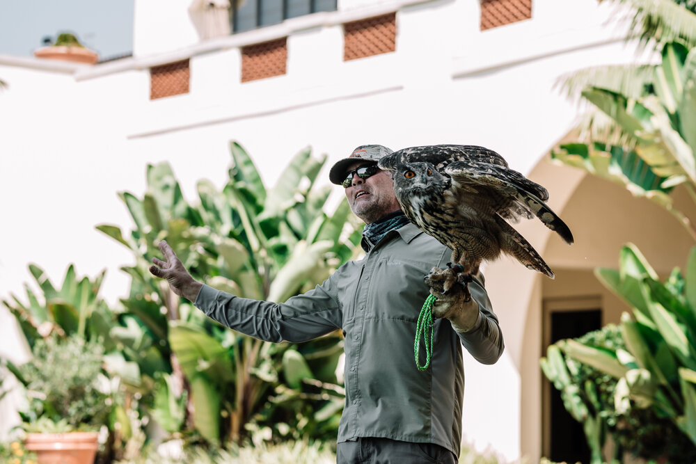 Rachel Off Duty: Terranea Resort Falconer Holding an Owl