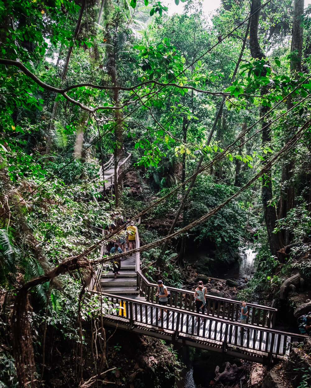 Rachel Off Duty: Ubud Sacred Monkey Forest Sanctuary