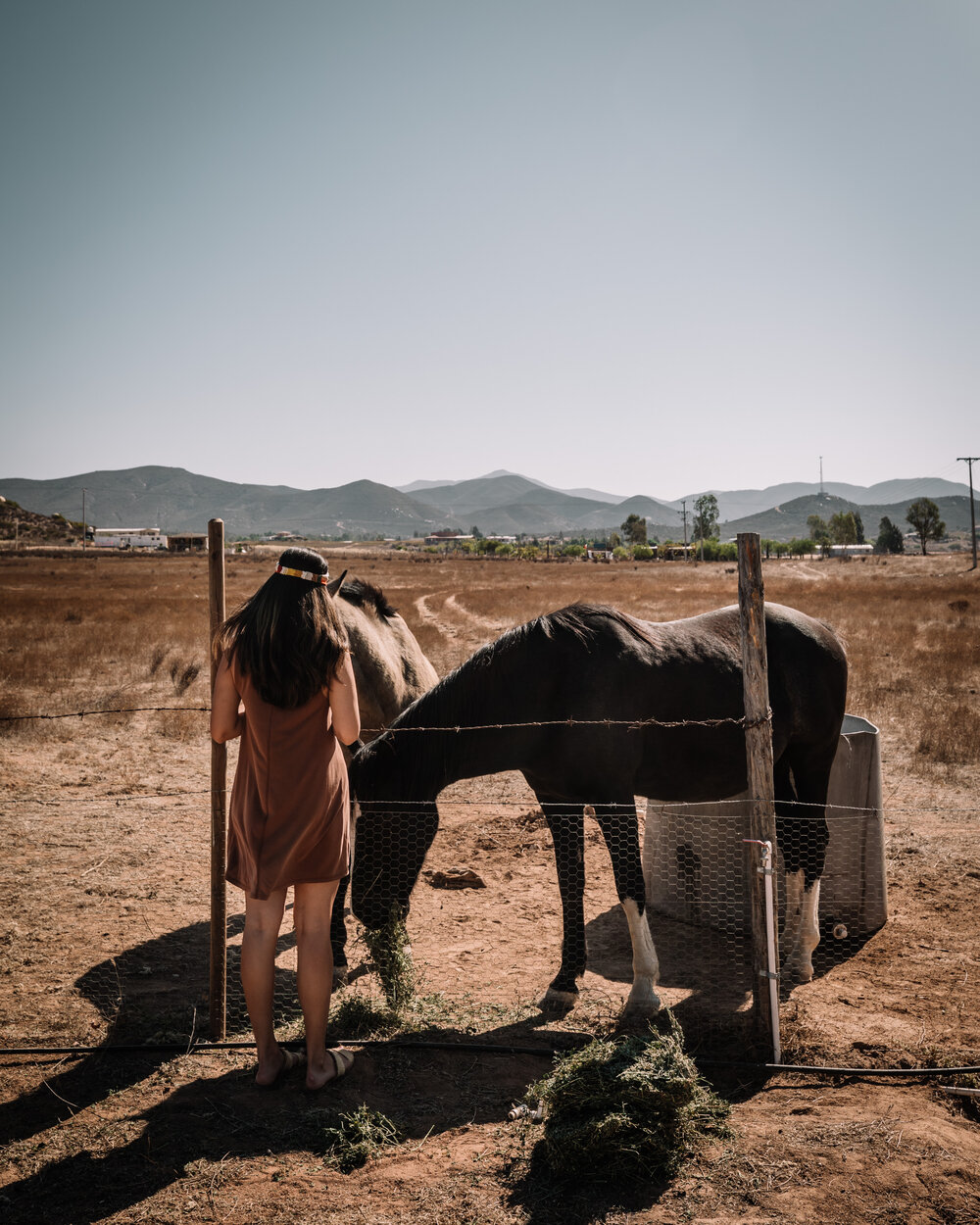 Rachel Off Duty: Woman Feeding Horses