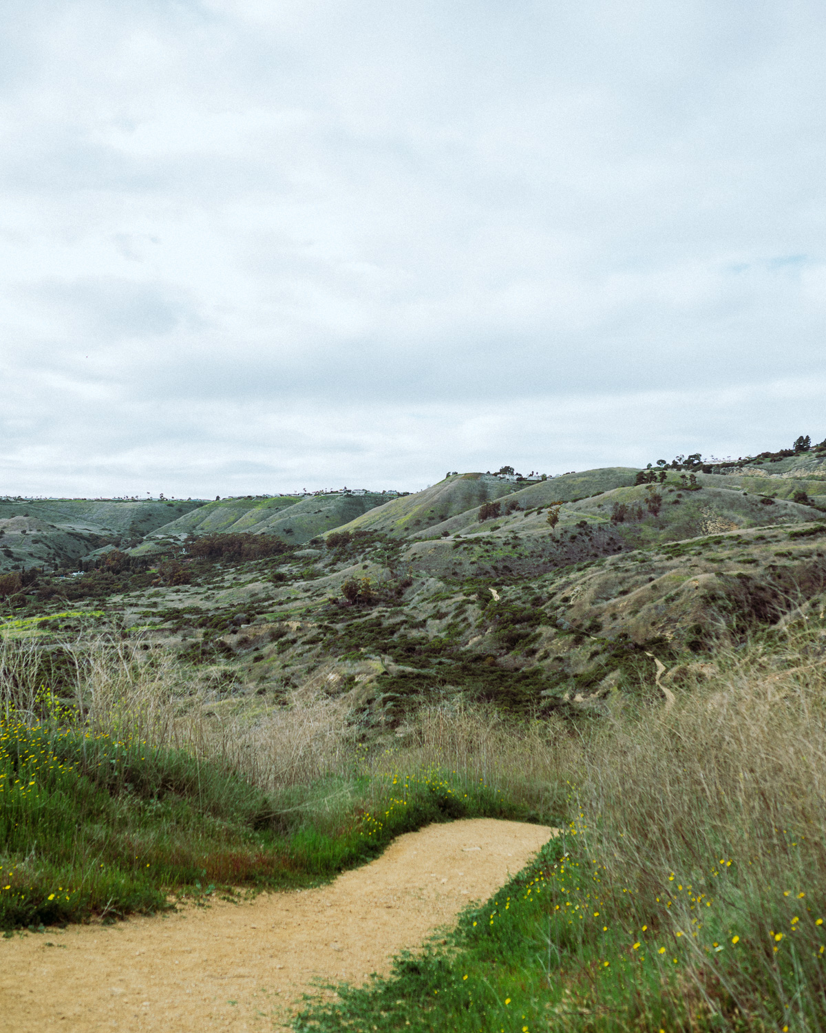 Rachel Off Duty: Hiking Trails in Palos Verdes