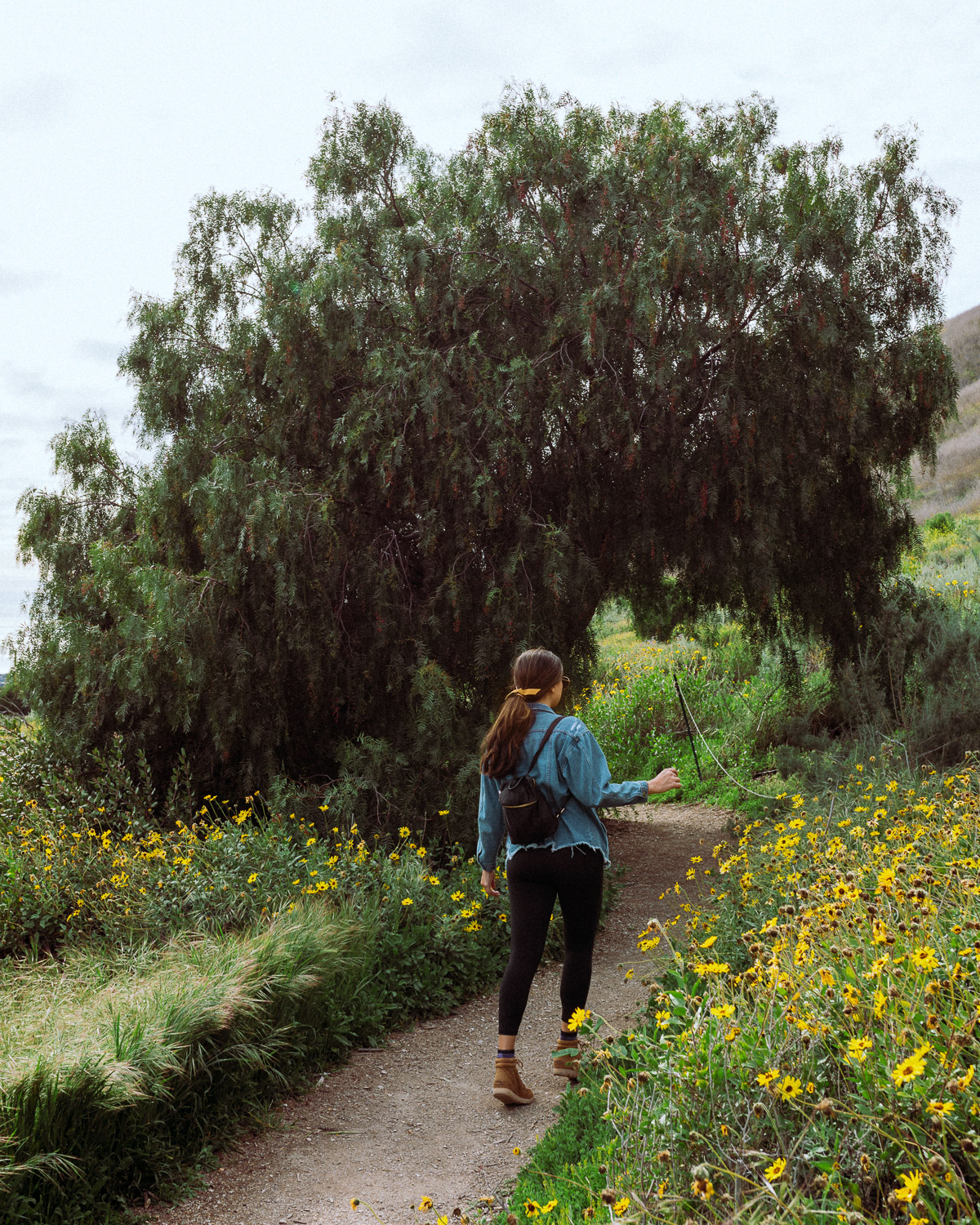 Rachel Off Duty: Woman Hiking in Palos Verdes