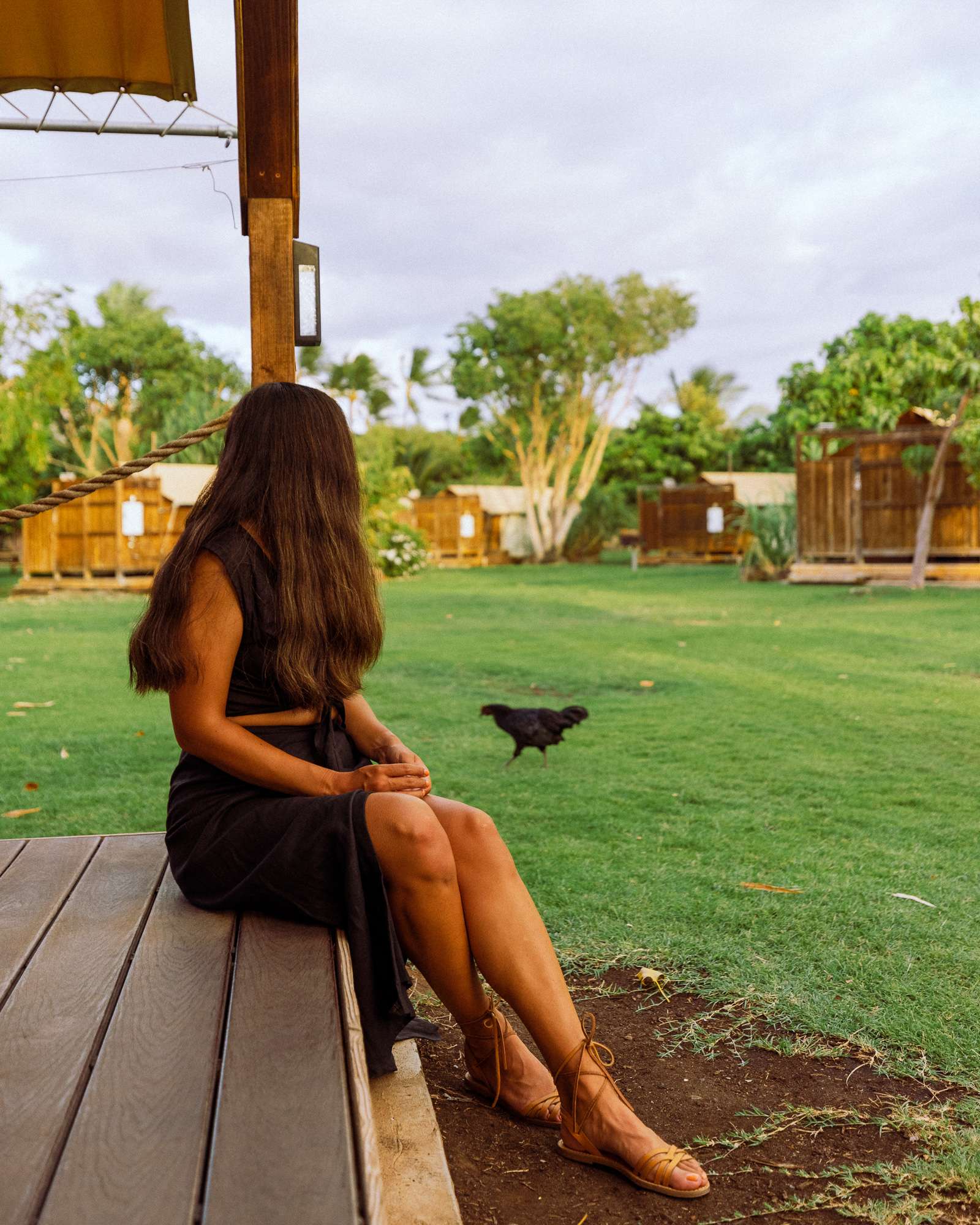 Rachel Off Duty: Woman Watching Chickens at Camp Olowalu in Maui