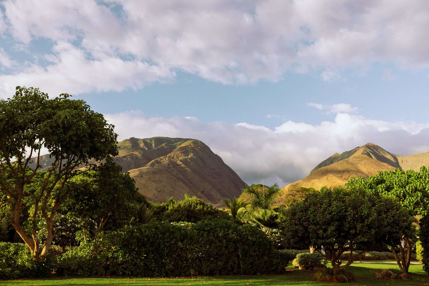Rachel Off Duty: Nature in Maui