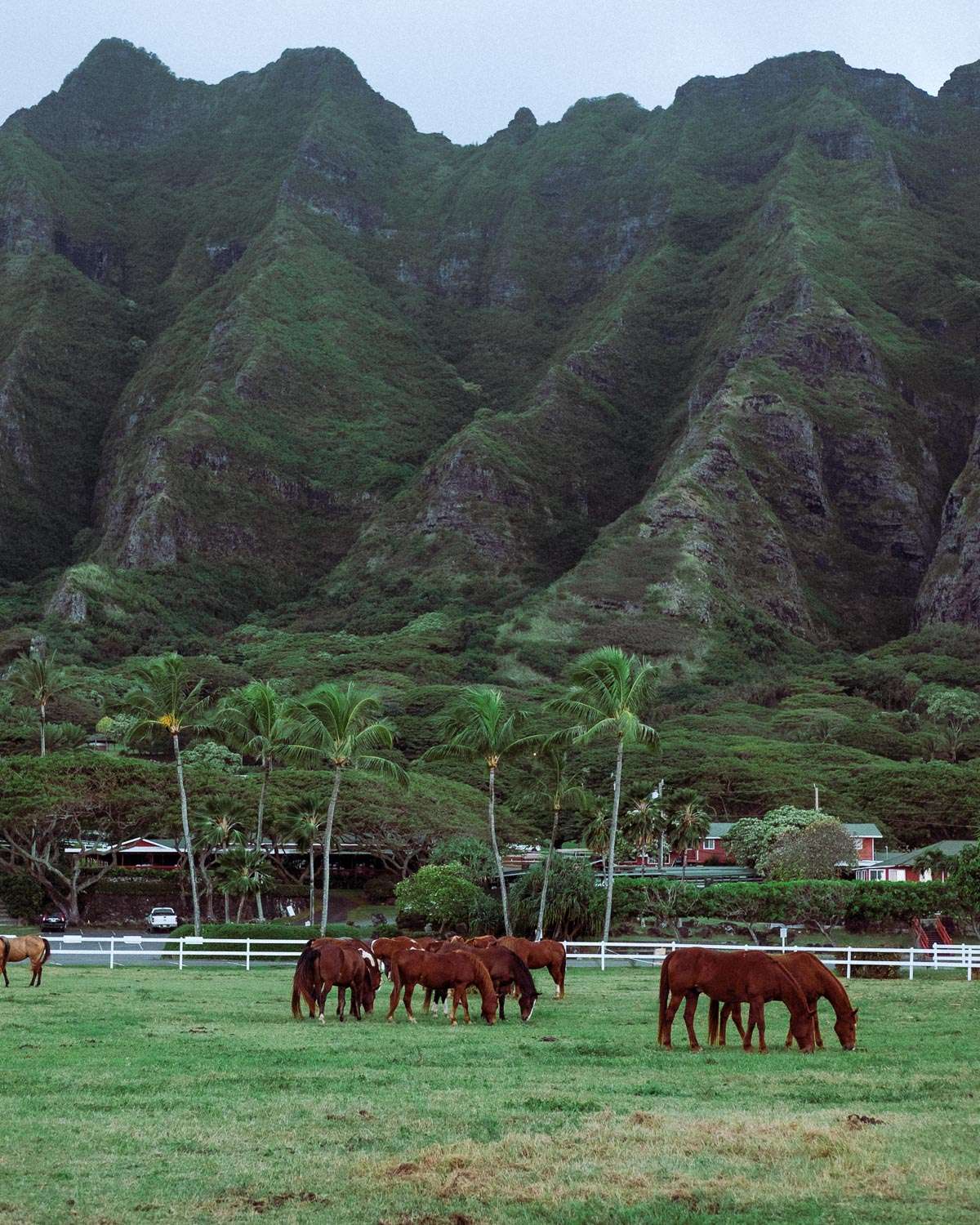Rachel Off Duty: 5 Day Oahu Itinerary – Kualoa Ranch